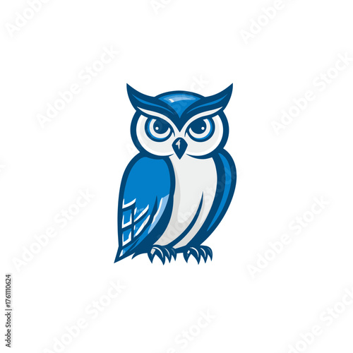 Stylized blue and white owl illustration, wise bird mascot character, graphic design element symbolizing education or intelligence.