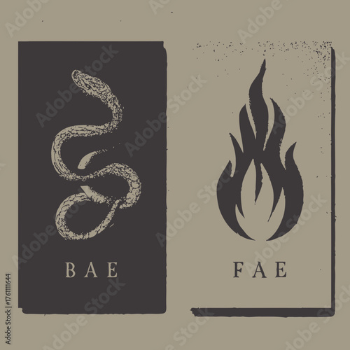Grayscale symbolic graphic illustration featuring a coiled snake and a burning flame, depicting duality with vintage grunge texture.