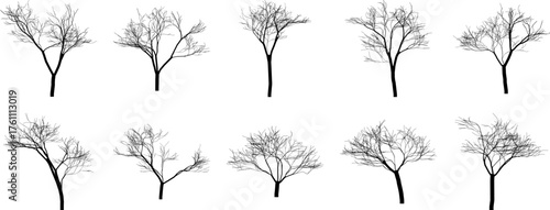 Hand made Collection of bare tree silhouettes simple vector illustrations By illustrator for design elements