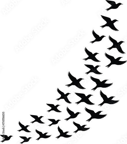 Flying birds silhouette pattern, flock of birds vector illustration, migration design concept, freedom nature art composition, cad drawing flat vector illustration