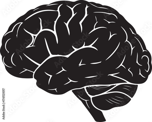 Silhouette of a Human Brain with Intricate Gyri and Sulci on a White Background anatomy neuroscience also transparent background