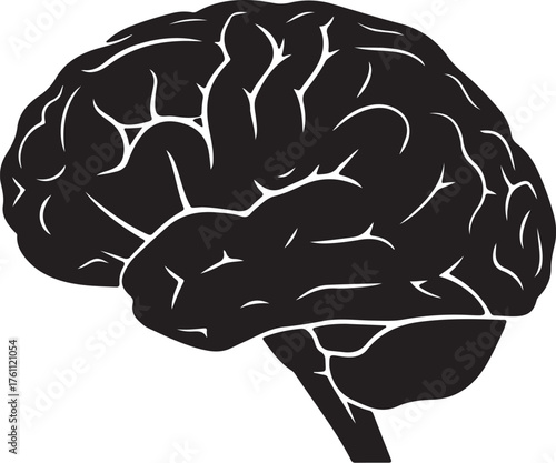 Black silhouette of a human brain in profile on a white background head mind also transparent background