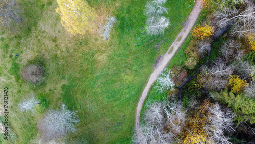 Abstract Top-Down Aerial View of a Park Path in Late Autumn
