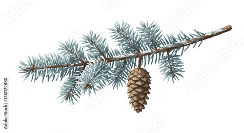 A vibrant blue spruce branch adorned with a solitary brown pinecone, meticulously isolated on a clean white background, ideal for seasonal designs.