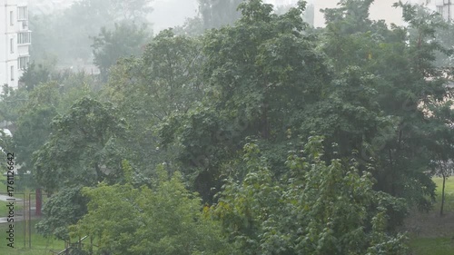 Rainy and windy weather. Video with sound and rain noise. Green trees are swaying in the wind. Rain in the city
