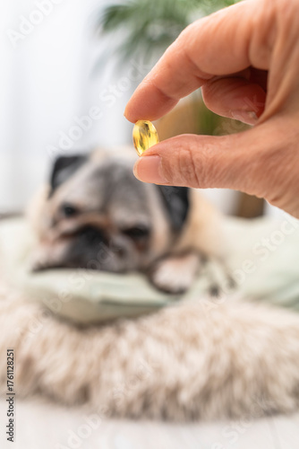 Omega-3 Pills and Pet Supplements. Vitamins and Nutrition for Animals