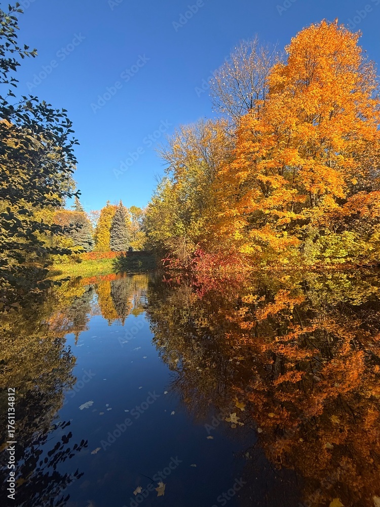 Fototapeta premium golden fall in the park, colorful autumn trees on the pond, falling leaves on the pond surface
