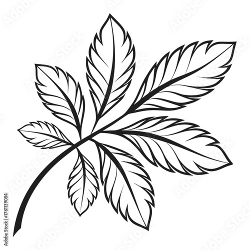 Minimalist Black and White Leaf Eco Icon Vector