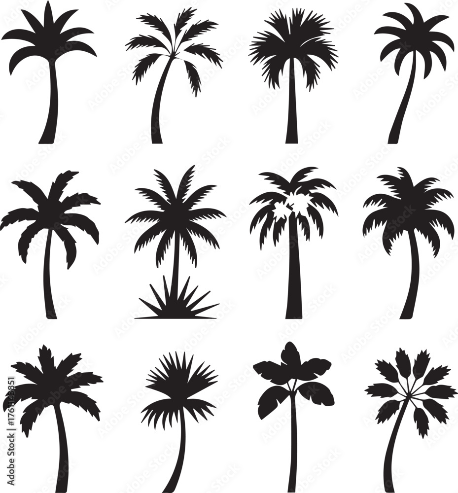 Fototapeta premium Palm tree silhouettes collection tropical island