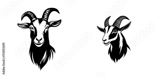 Detailed illustrations of goat heads showcasing characteristic features and expressions in a minimalist style