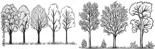 The scenery of autumn is characterized by colorful trees, a cartoon yellow tree, and an autumnal garden bush, all part of a modern landscape set