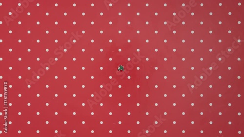 Christmas wrapping paper tears from the center on a green background. Stop motion. Layout for discounts, text, etc