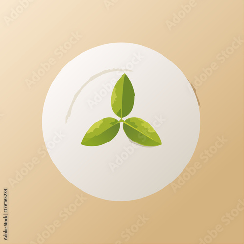 A white plate holding three olive leaves in a triangular layout against a blank beige table.