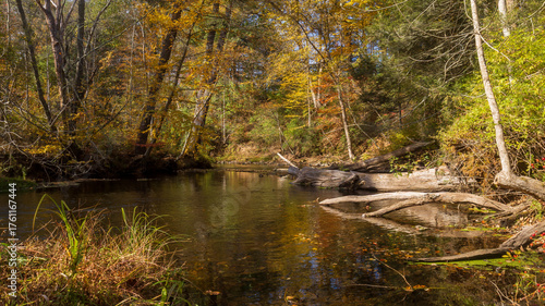 Scantic River in autumn