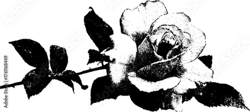 Black and white halftone rose illustration for gothic and grunge designs