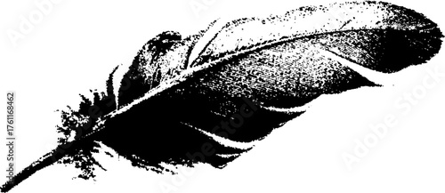 Black and white halftone bird feather illustration for vintage design and art projects
