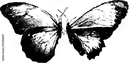 Black and white butterfly wing halftone design for artistic print or poster