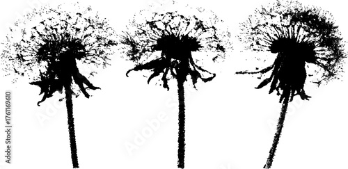 Black and white halftone dandelion puff art for vintage design