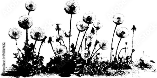 Black and white halftone dandelion puff art for retro design and print projects