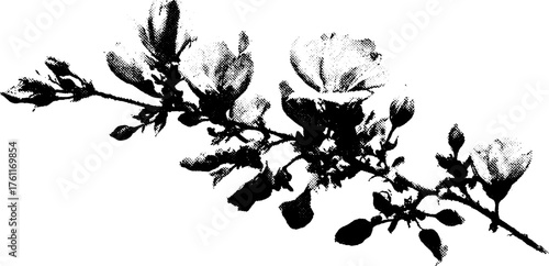 Black and white halftone design of dried flowers for alternative art and decor