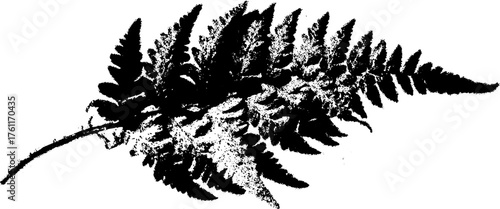 Black and white halftone fern leaf silhouette for design and print projects