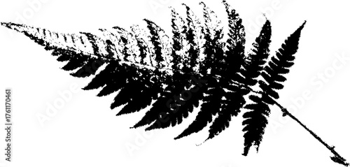 Black and white halftone design of a fern leaf for art and print projects