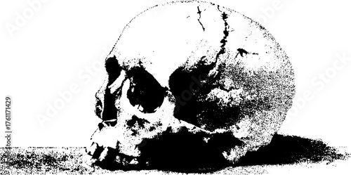 Vintage black and white halftone skull art for tattoo design or gothic decor