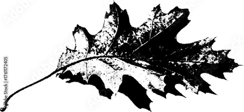 Black and white oak leaf halftone design for print and posters