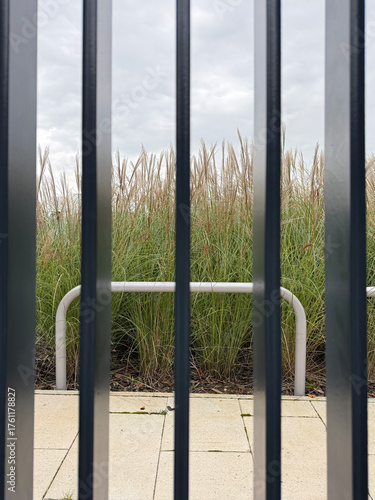 Canvas Print Tall grasses behind black metal railings beneath a grey cloudy sky