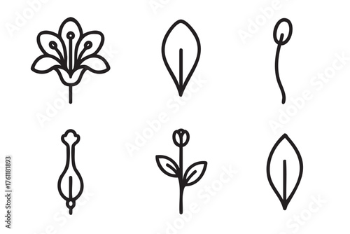Black outline vector icons of six botanical elements, including flowers and leaves, in a minimalistic linear style.