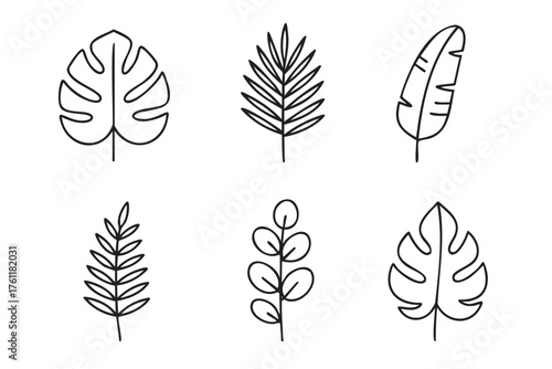 Black outline icons of six different leaf designs with distinct shapes and patterns, illustrating botanical variety.