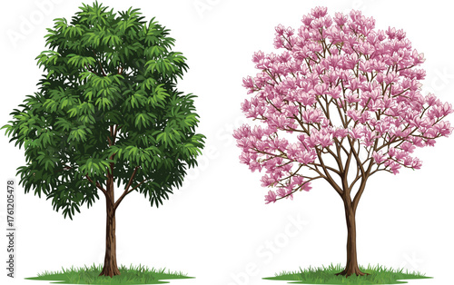 Green leafy tree, pink flowering tree, botanical contrast, nature landscape, seasonal bloom, vibrant foliage, tropical garden, dual tree composition, outdoor scene