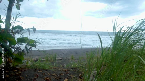 Wallpaper Mural Costa Rica A view of Pacific Ocean waves through the trees as  they crash on a black sand beach Torontodigital.ca