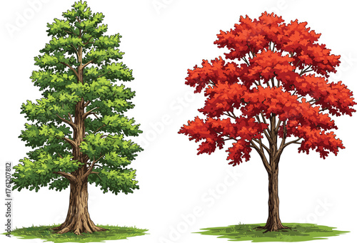 Green tree, red tree, seasonal foliage, autumn leaves, summer bloom, nature contrast, botanical illustration, deciduous trees, vibrant colors, expressive trunks