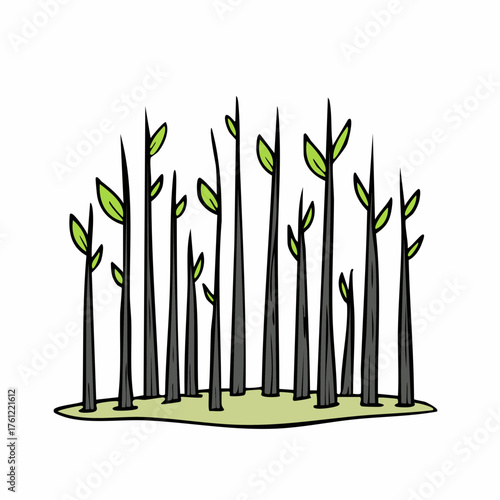 Forest regrowth after a blaze, blackened trunks with new leaves on saplings