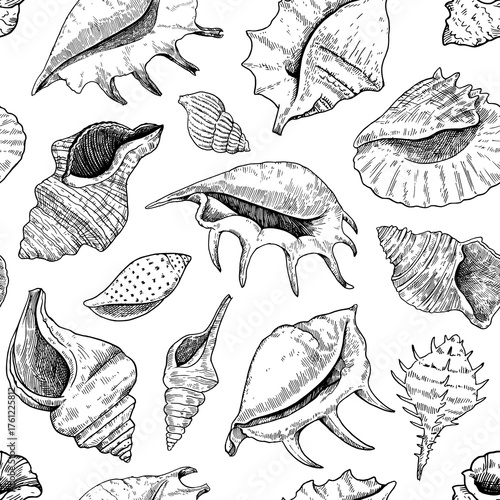 Seamless pattern with shells. Black and white detailed ink illustrations for design.
