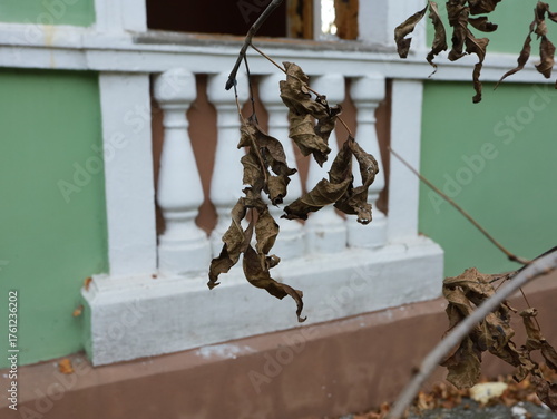 a fragment of the building stucco balusters under the window