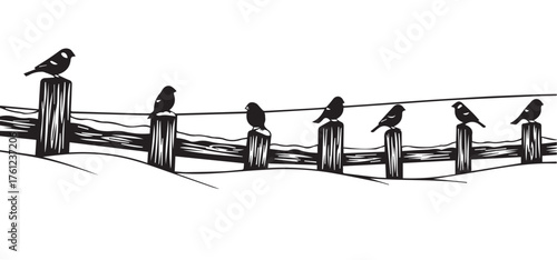Black silhouette of seven small birds perched on wooden fence posts against a white background black and white.