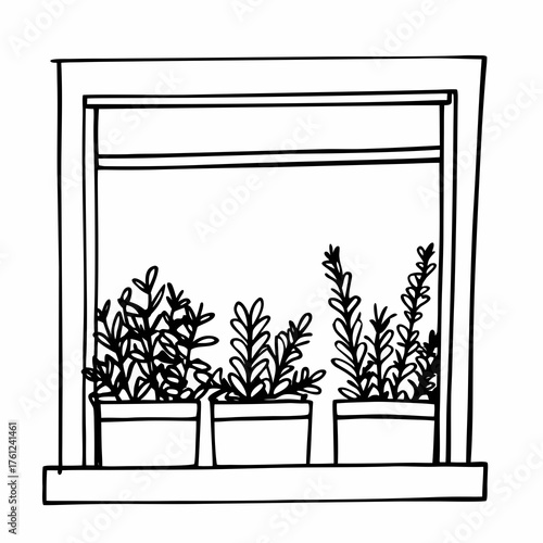 Line drawing of three potted plants on a window sill  