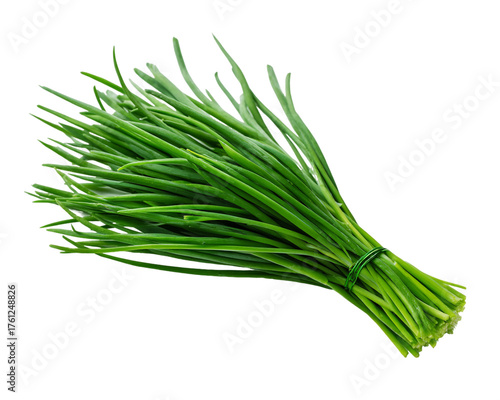 Fresh Chives Bunch Tied with Green Wire on Transparent Background, PNG