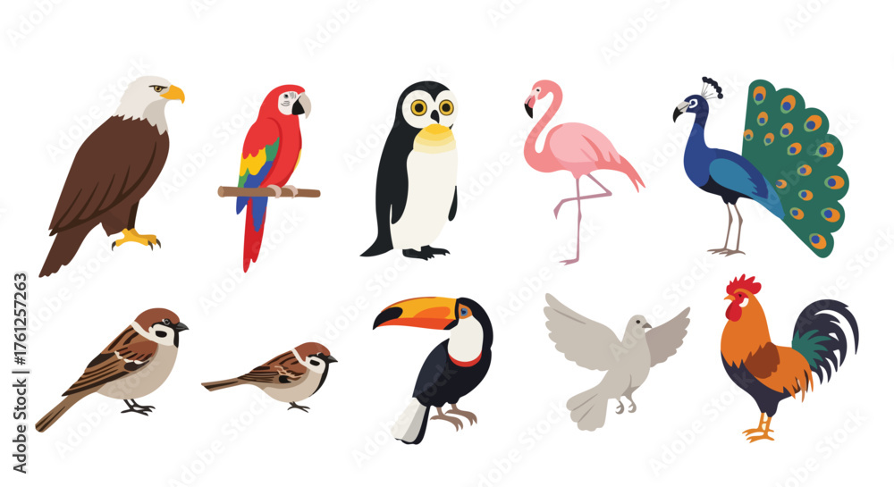 Obraz premium Bird Animal Vector Flat Design Flying Aves Illustration Collection