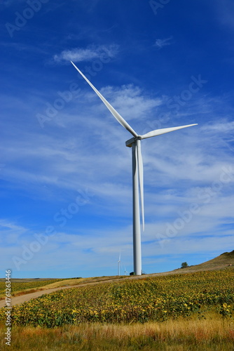 Wind turbines producing clean renewable energy in North Dakota.