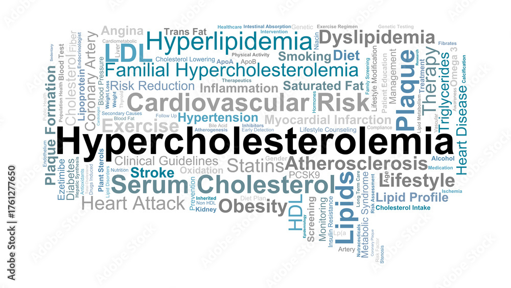 Fototapeta premium Hypercholesterolemia Word Cloud. Key Concepts On Cholesterol, Lipids, Cardiovascular Risk, Diet, Exercise, Medication, And Management Of High Blood Cholesterol.