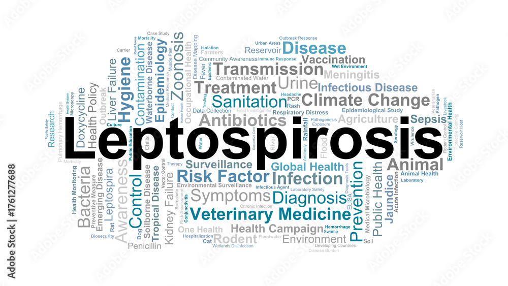 Obraz premium Leptospirosis Word Cloud. Key Concepts On Bacterial Infection, Animal Transmission, Prevention, Treatment, And Global Health Response.