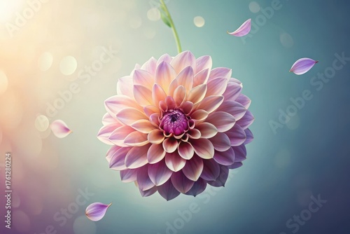 A Delicate Pink Dahlia in Soft Focus with Falling Petals, a Symbol of Grace and Tranquility