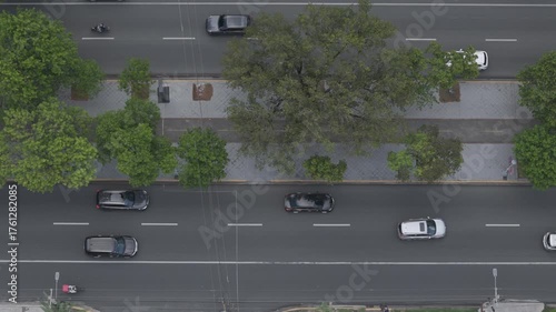 Cars on the road with trees 2