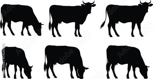 Silhouette, cow, cattle, animal, farm, livestock, grazing, standing, walking, posture, outline, vector, illustration, design, template, isolated, black, white, background, agriculture