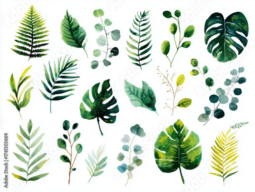 collection of various green plants and leaves, showcasing diverse shapes and textures, perfect for nature themed designs and illustrations