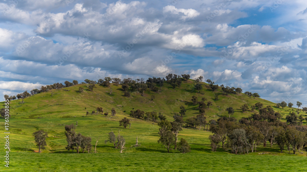 Fototapeta premium Riverina Countryside in Spring – Green Hills Under Clouded Skies
