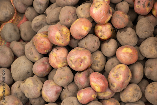 Foto Variedad de papas nativas peruanas orgánicas a la venta en un mercado de los and